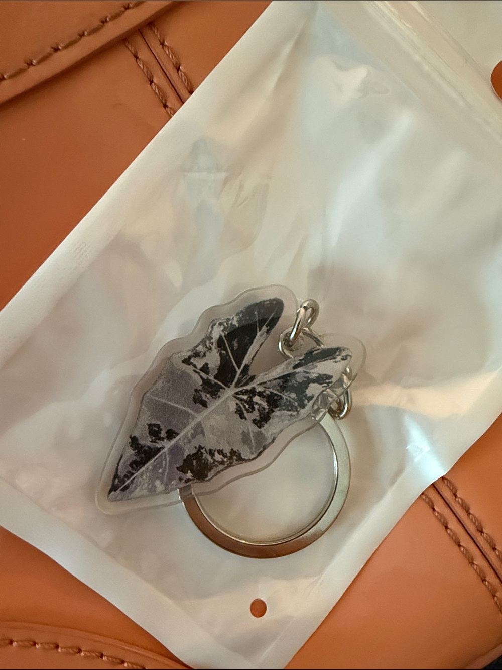 Variegated Alocasia Silver Leaf Keyring Keychain - Brand New! - Picture 3 of 3